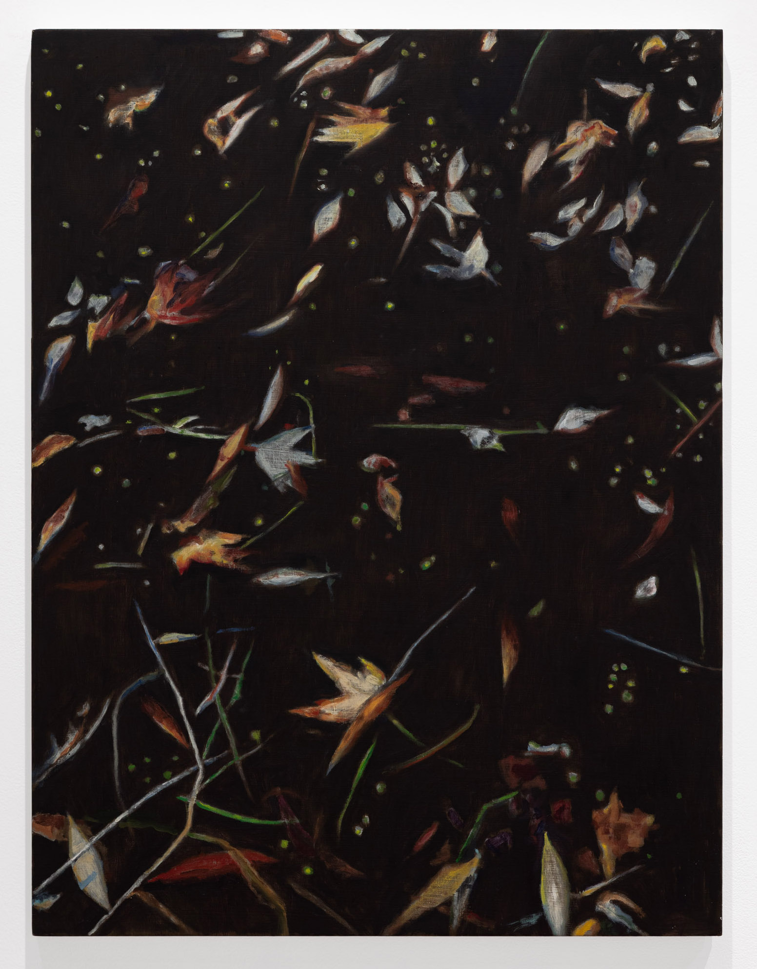 Headwaters 1