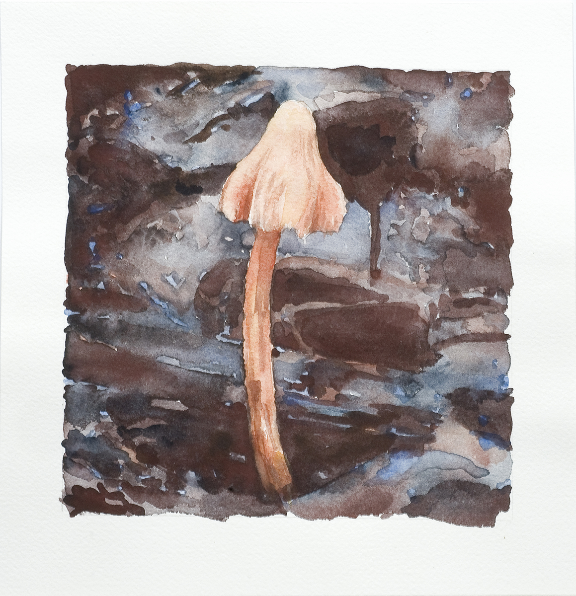 Mushroom No. 9