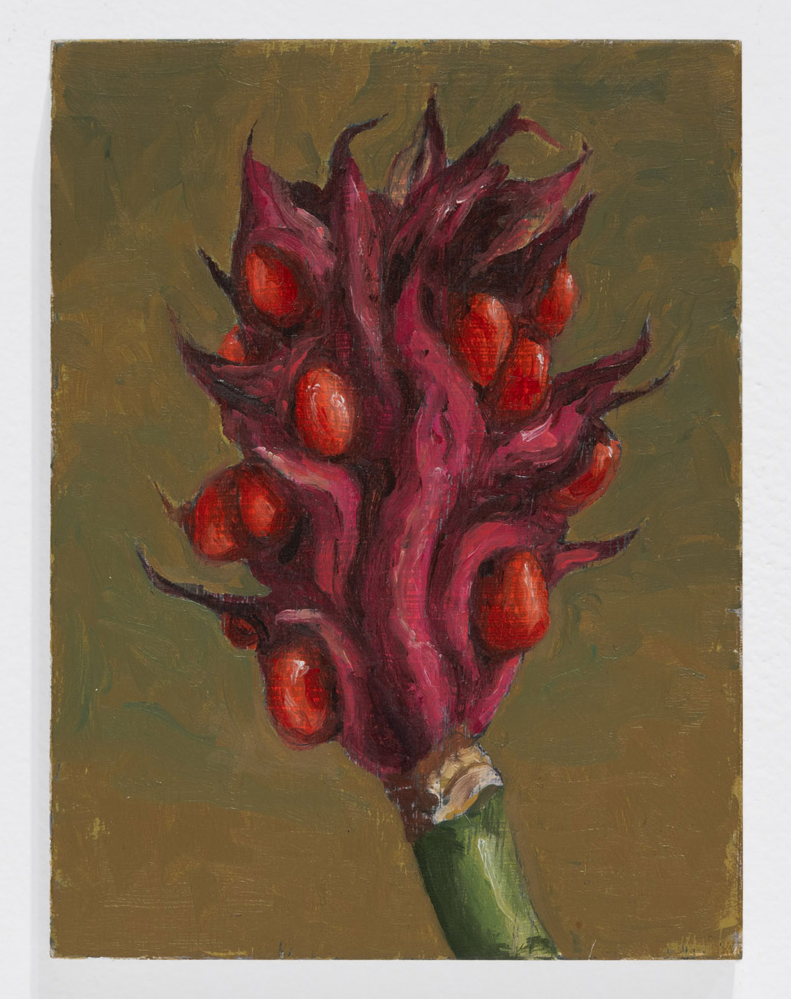 Pod