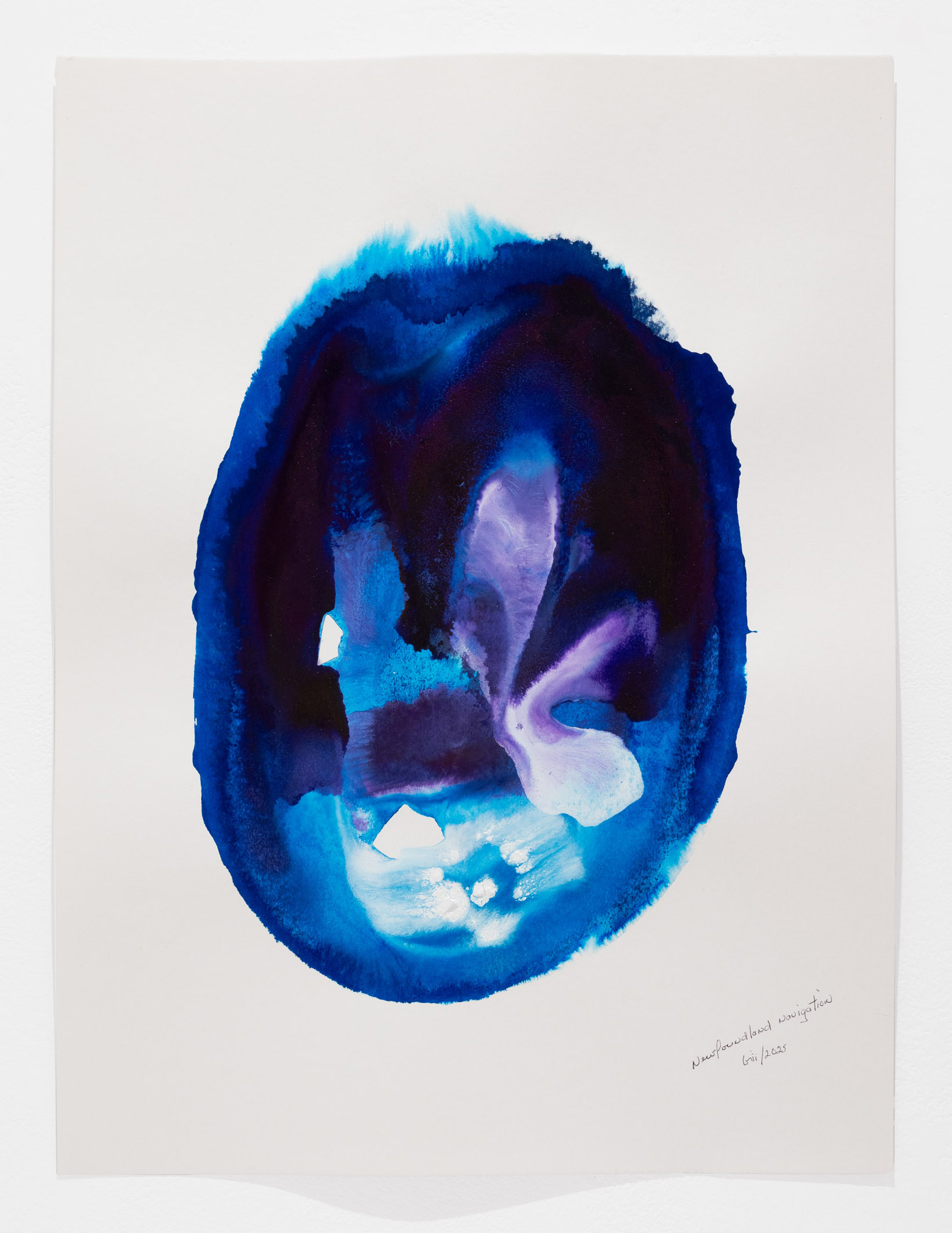 Newfoundland Navigation 15