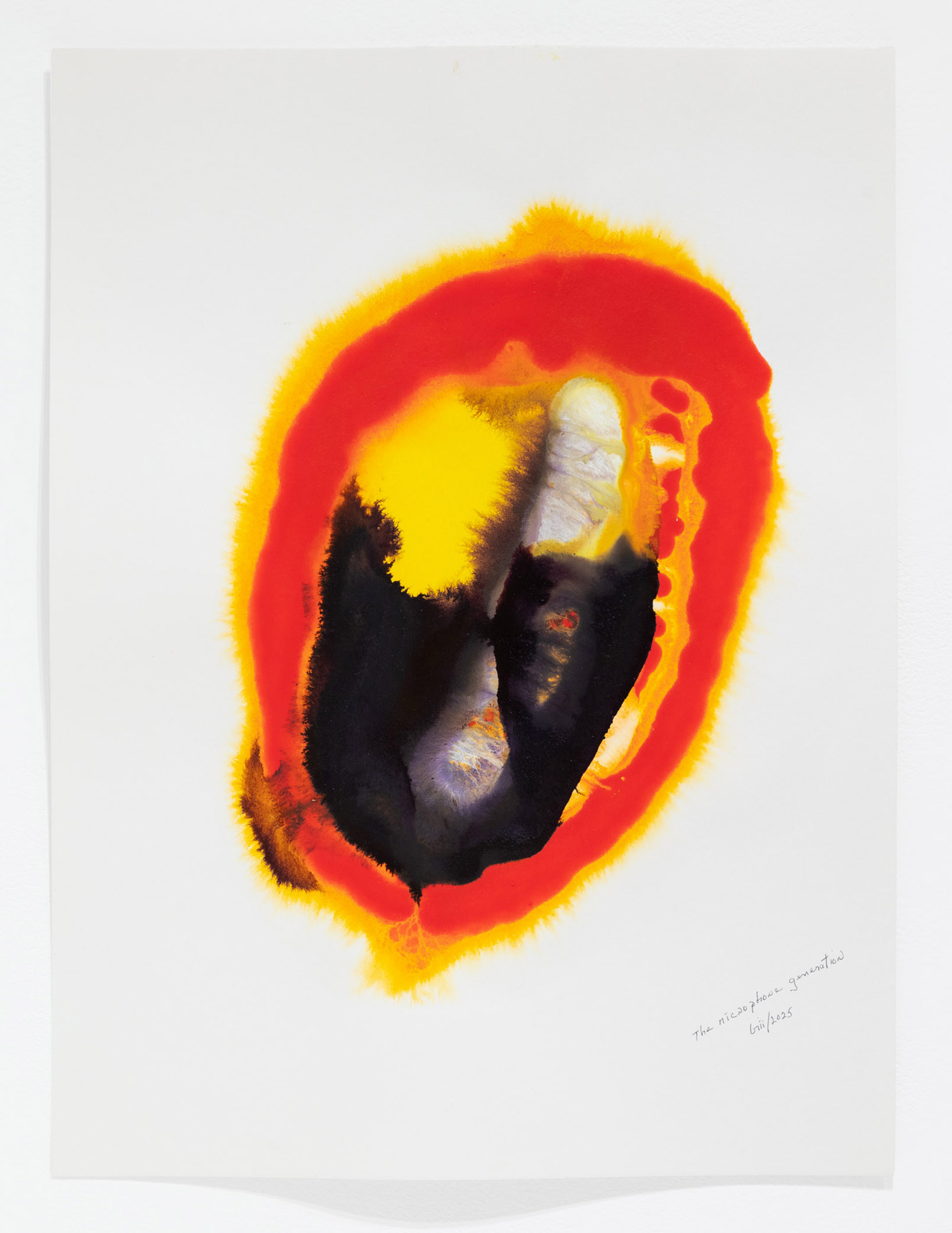 The Microphone Generation 08