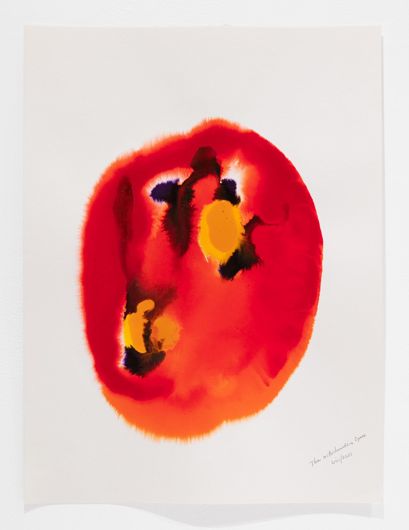 The Mitochondria Opera  02