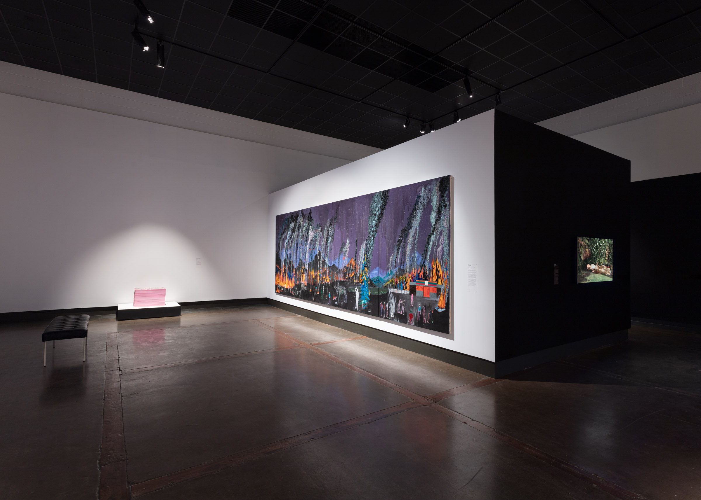 Installation view, Kitchener-Waterloo Art Gallery