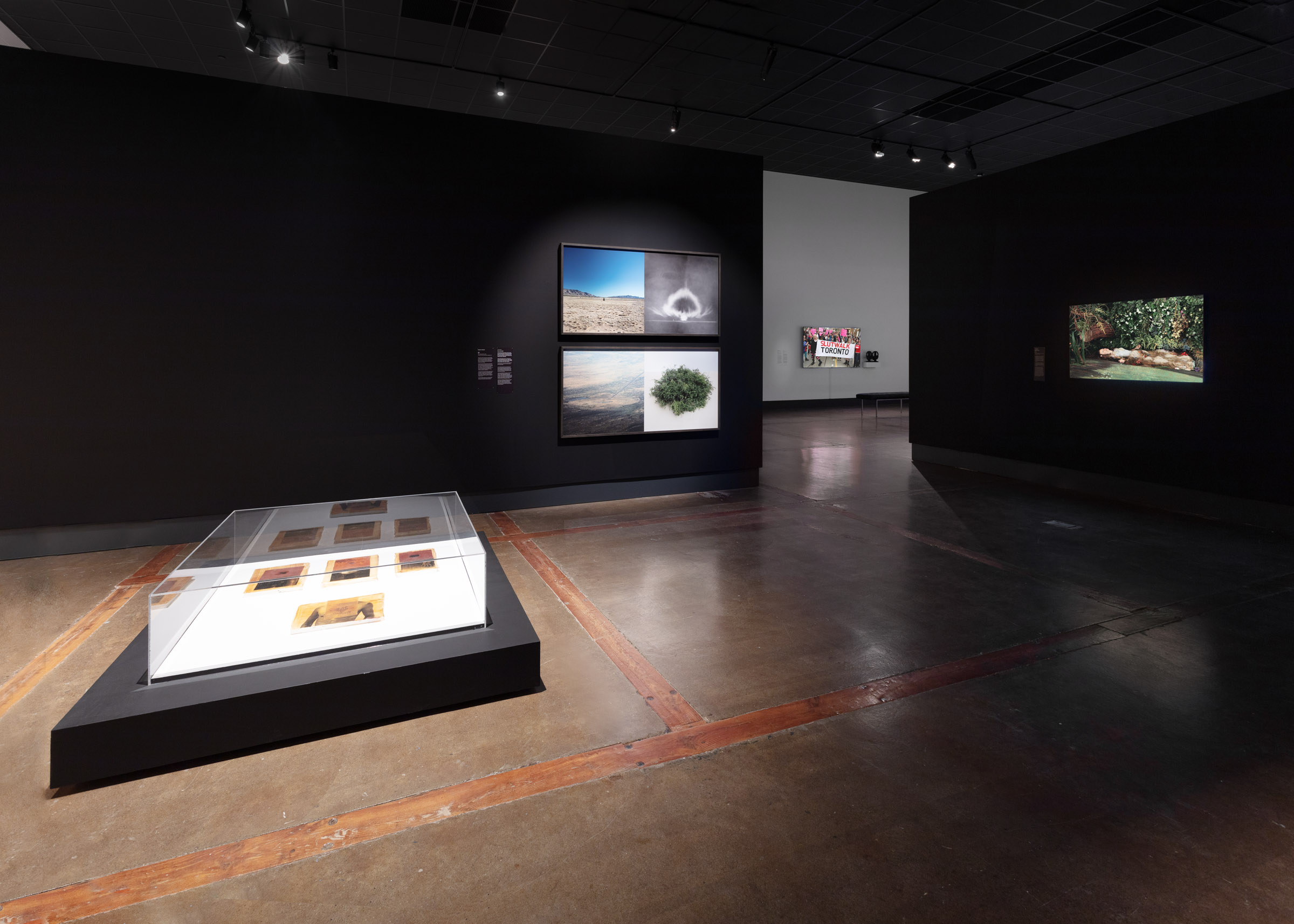 Installation view, Kitchener-Waterloo Art Gallery