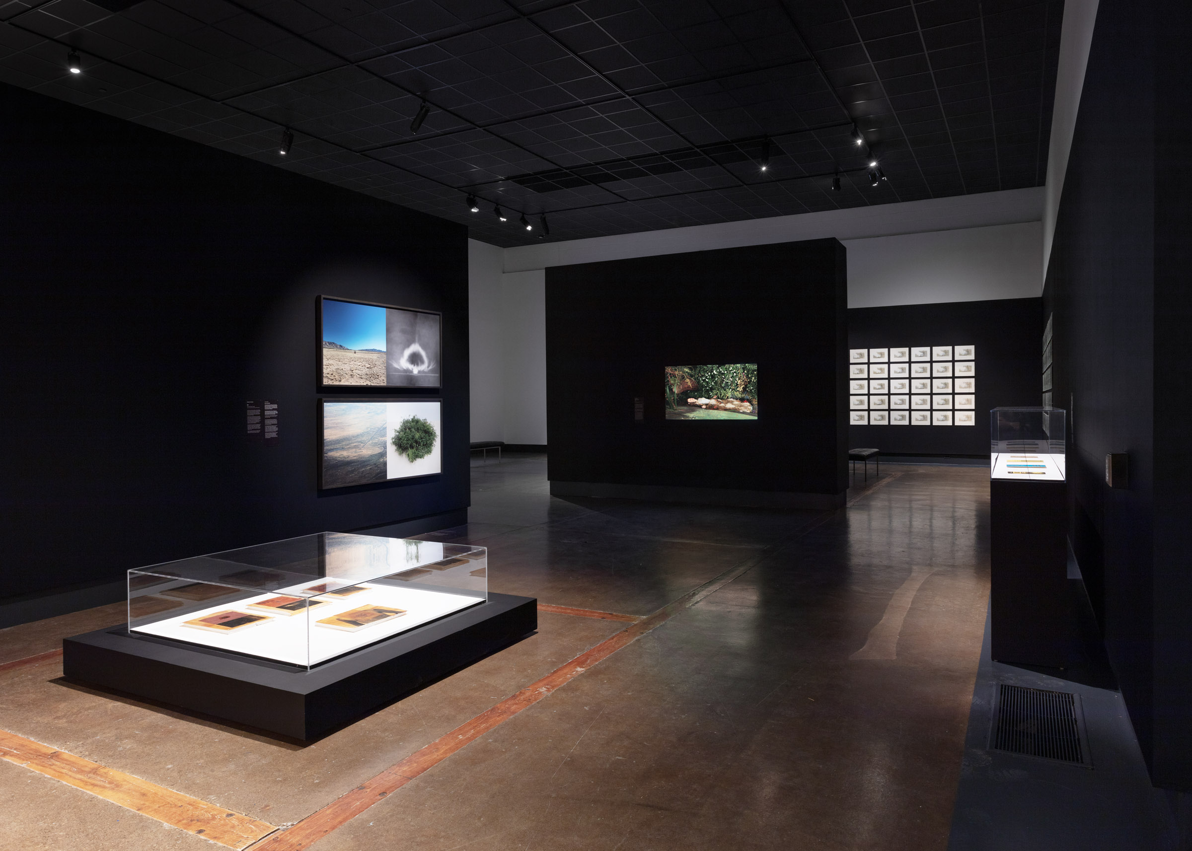 Installation view, Kitchener-Waterloo Art Gallery