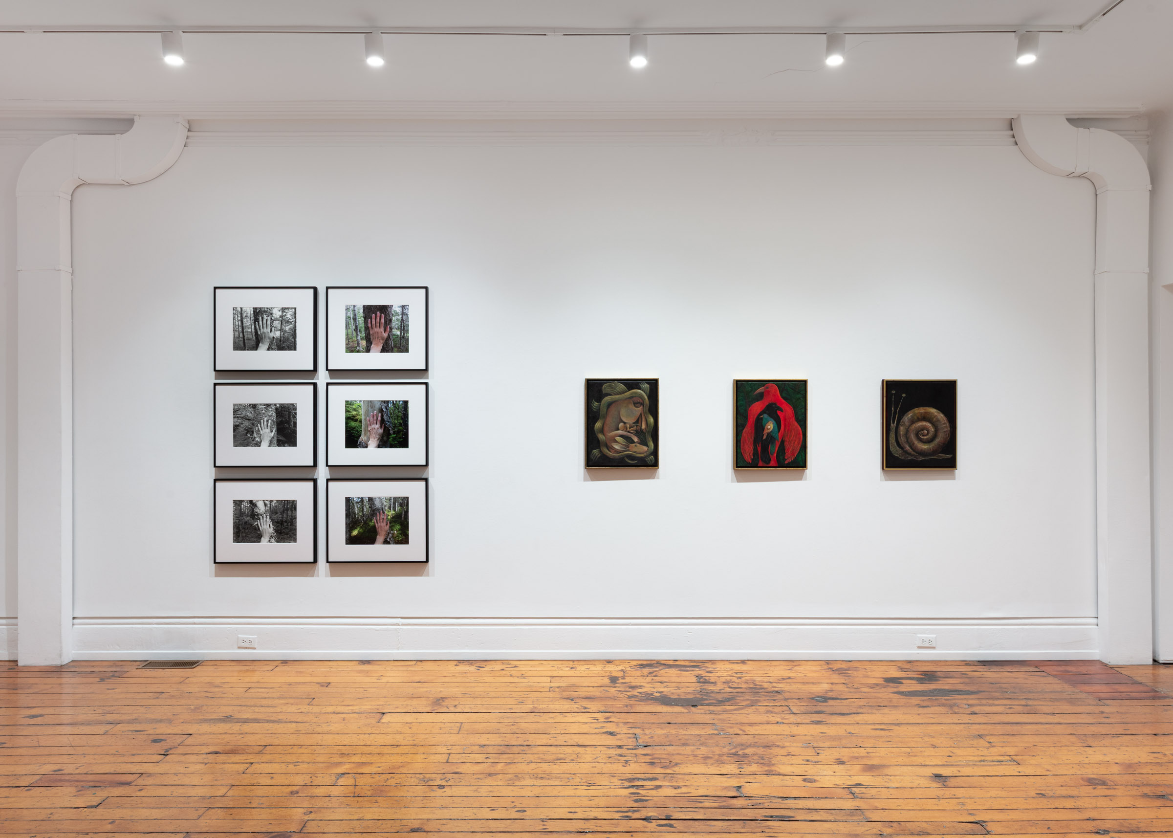 installation view