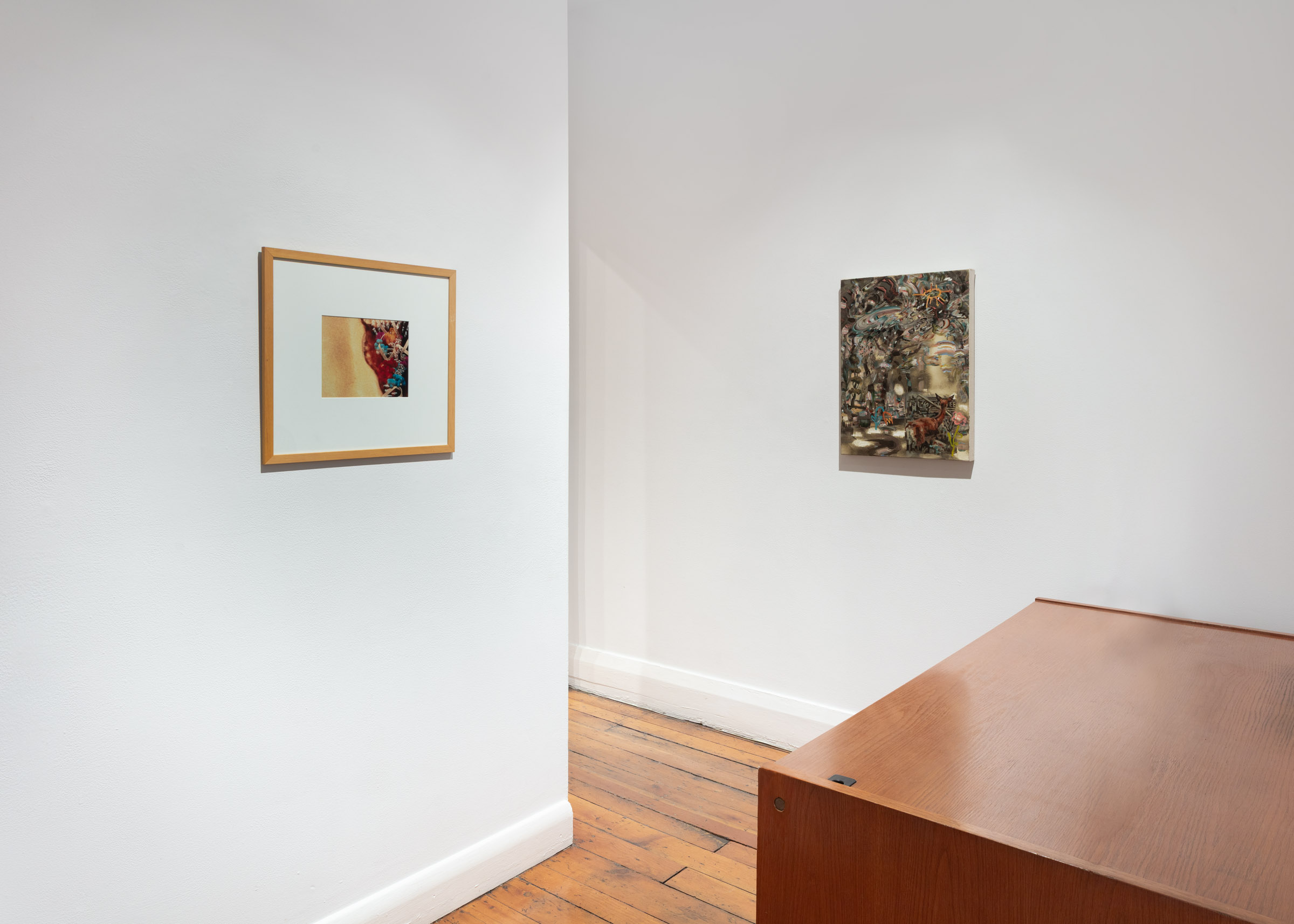 installation view