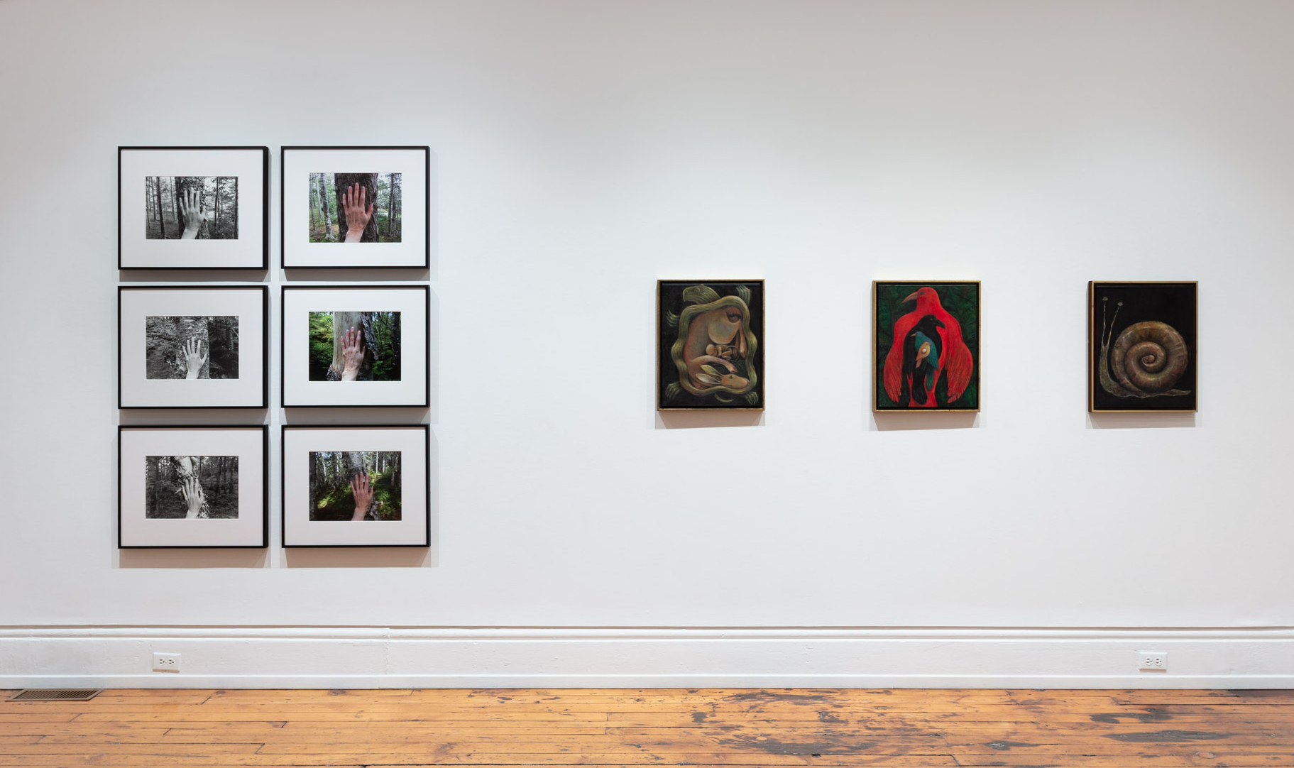 installation view