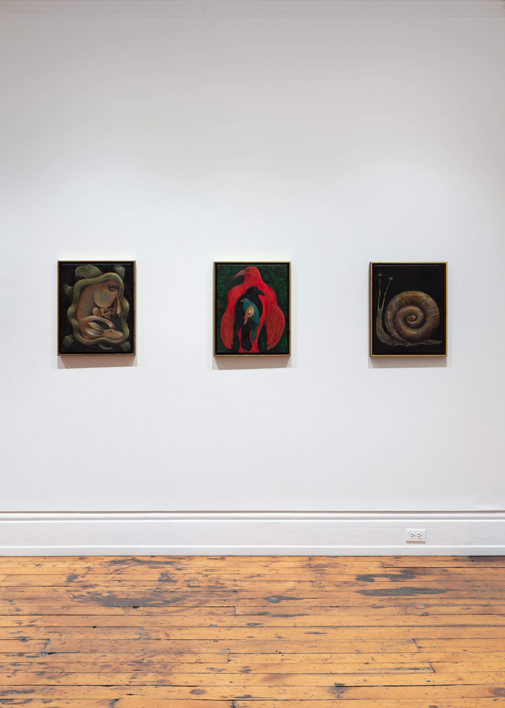 installation view