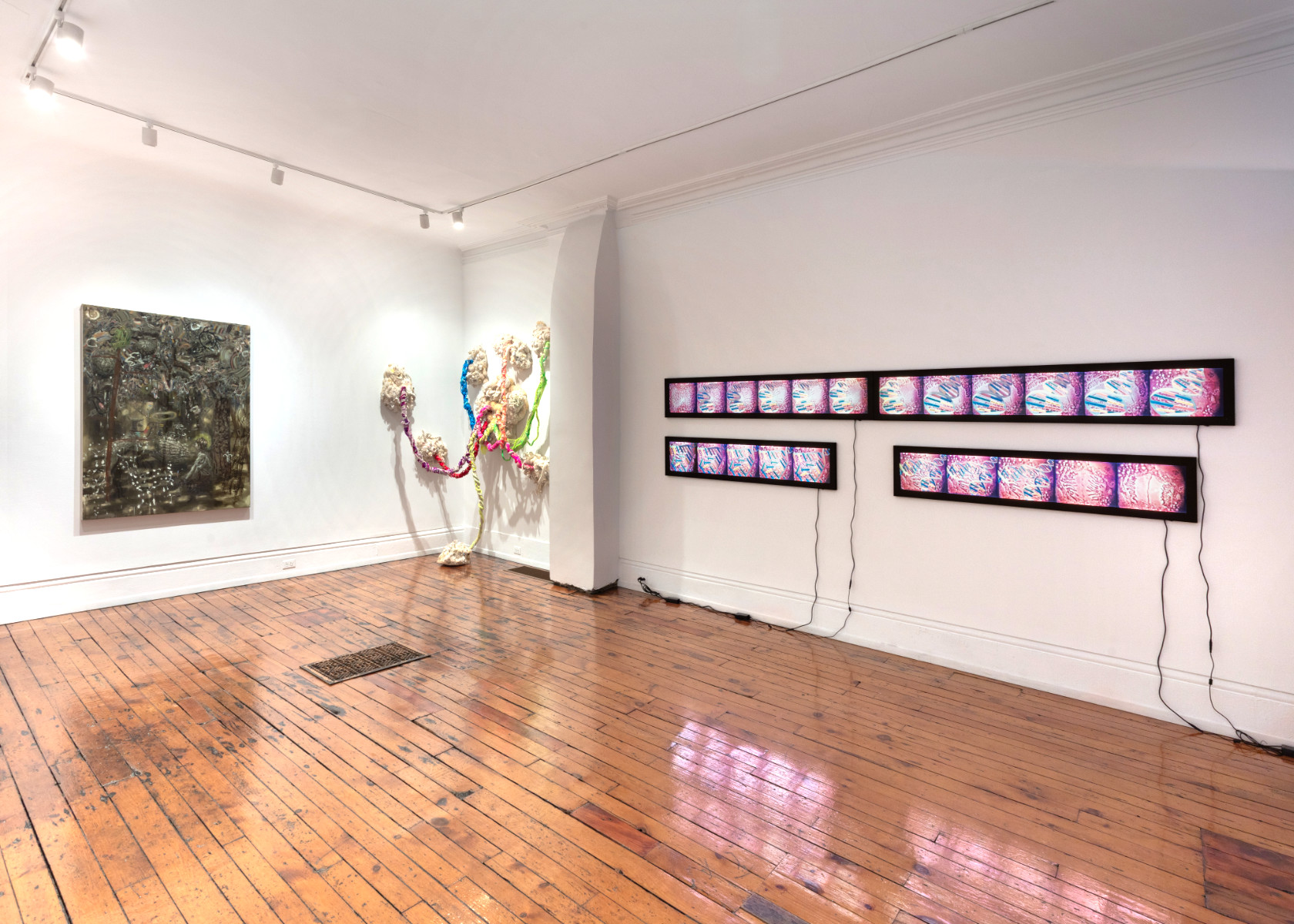 installation view  25.3 Species Life  2026  installation view