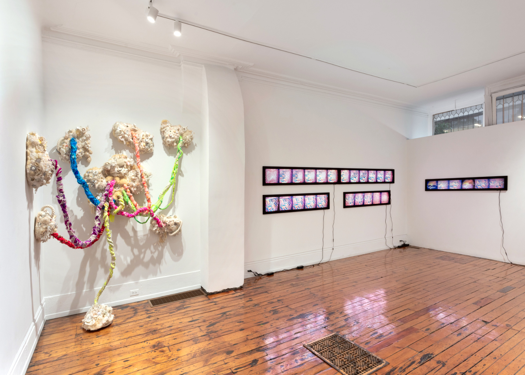 installation view  26.3 Species Life  2026  installation view