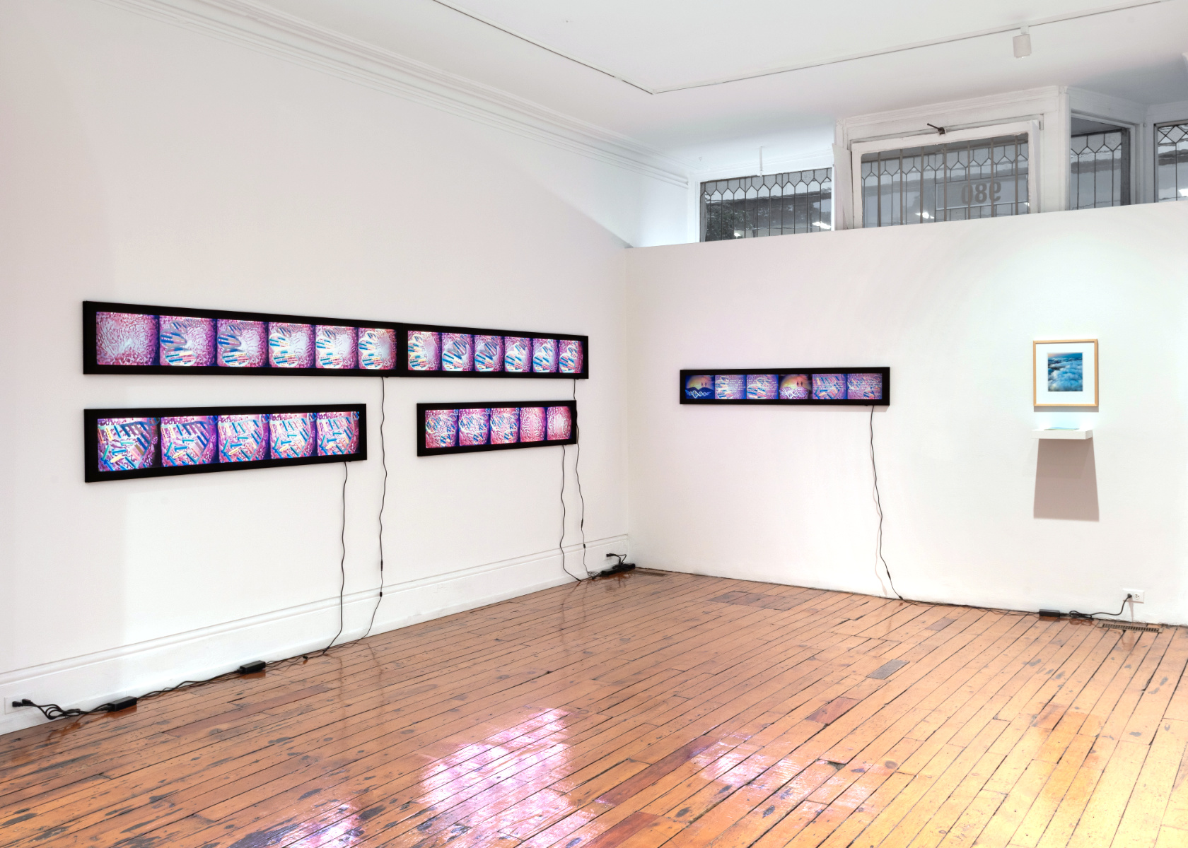 installation view  34.3 Species Life  2026  installation view