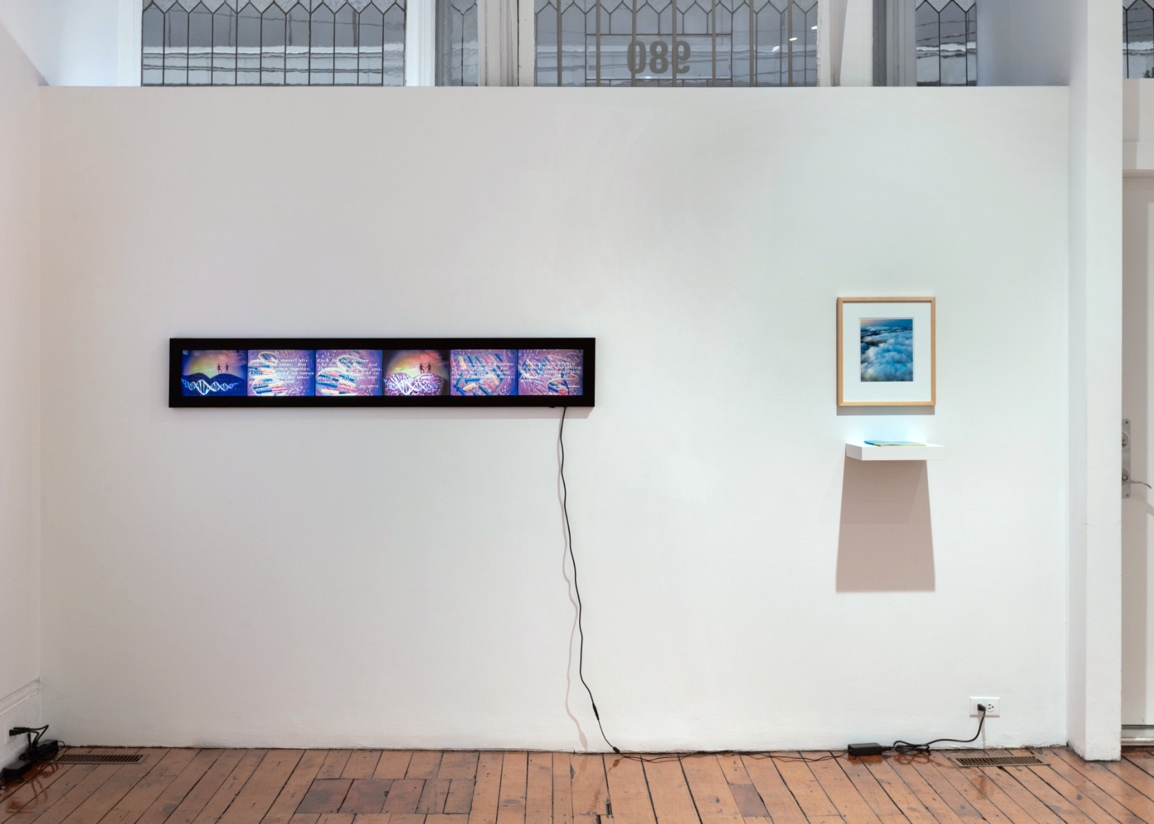 installation view  35.3 Species Life  2026  installation view