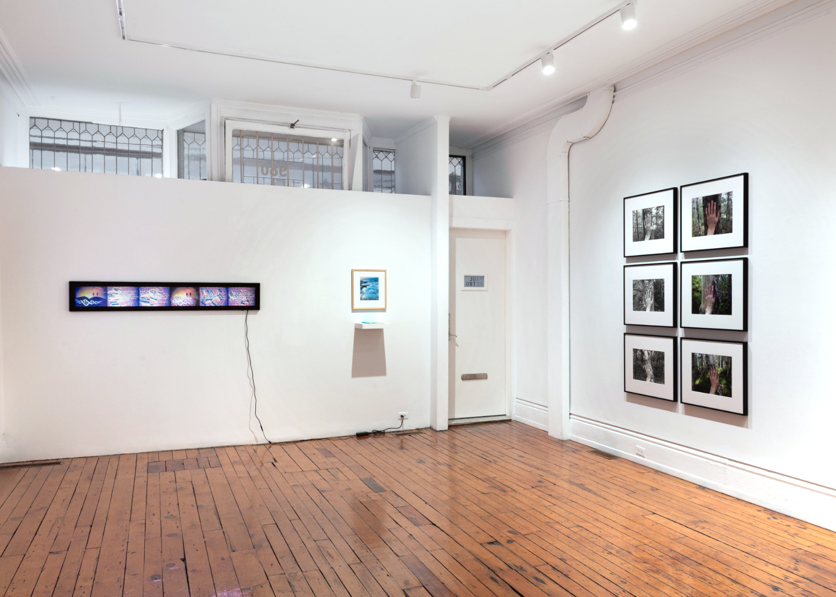 installation view  38.3 Species Life  2026  installation view