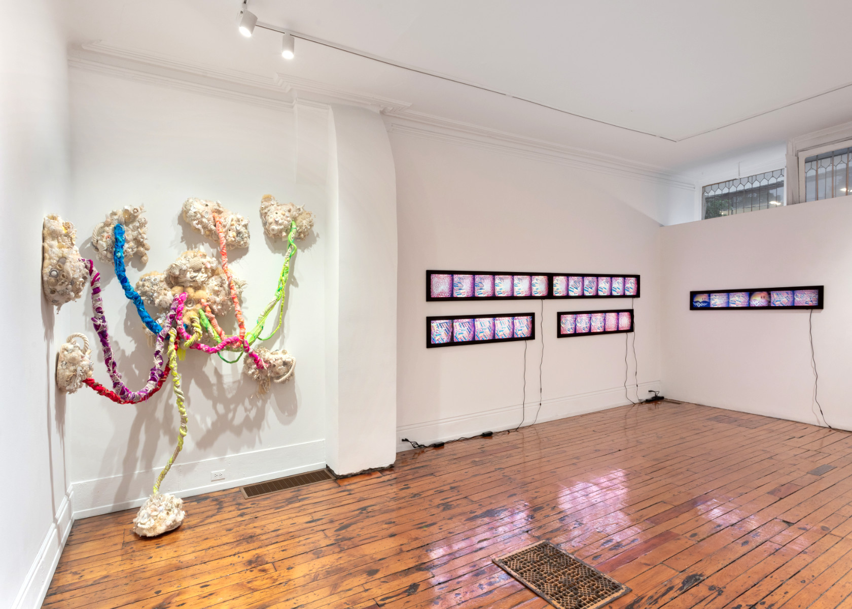 installation view