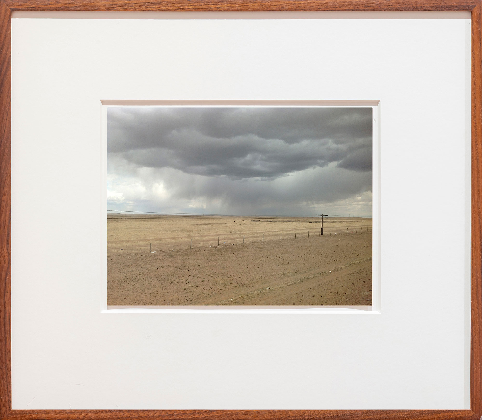 Rain in the Gobi