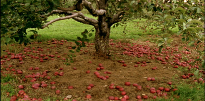 Apples (Malus Domestica)