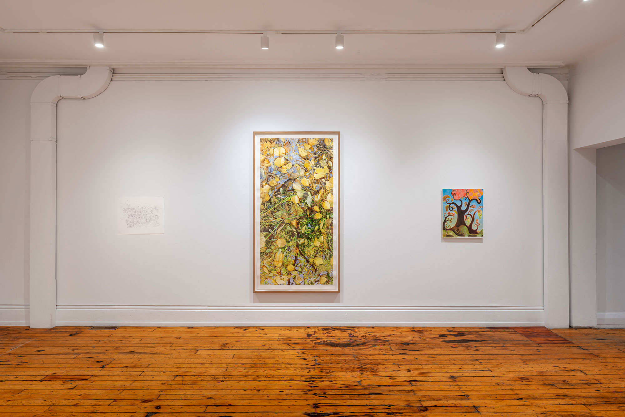 installation view