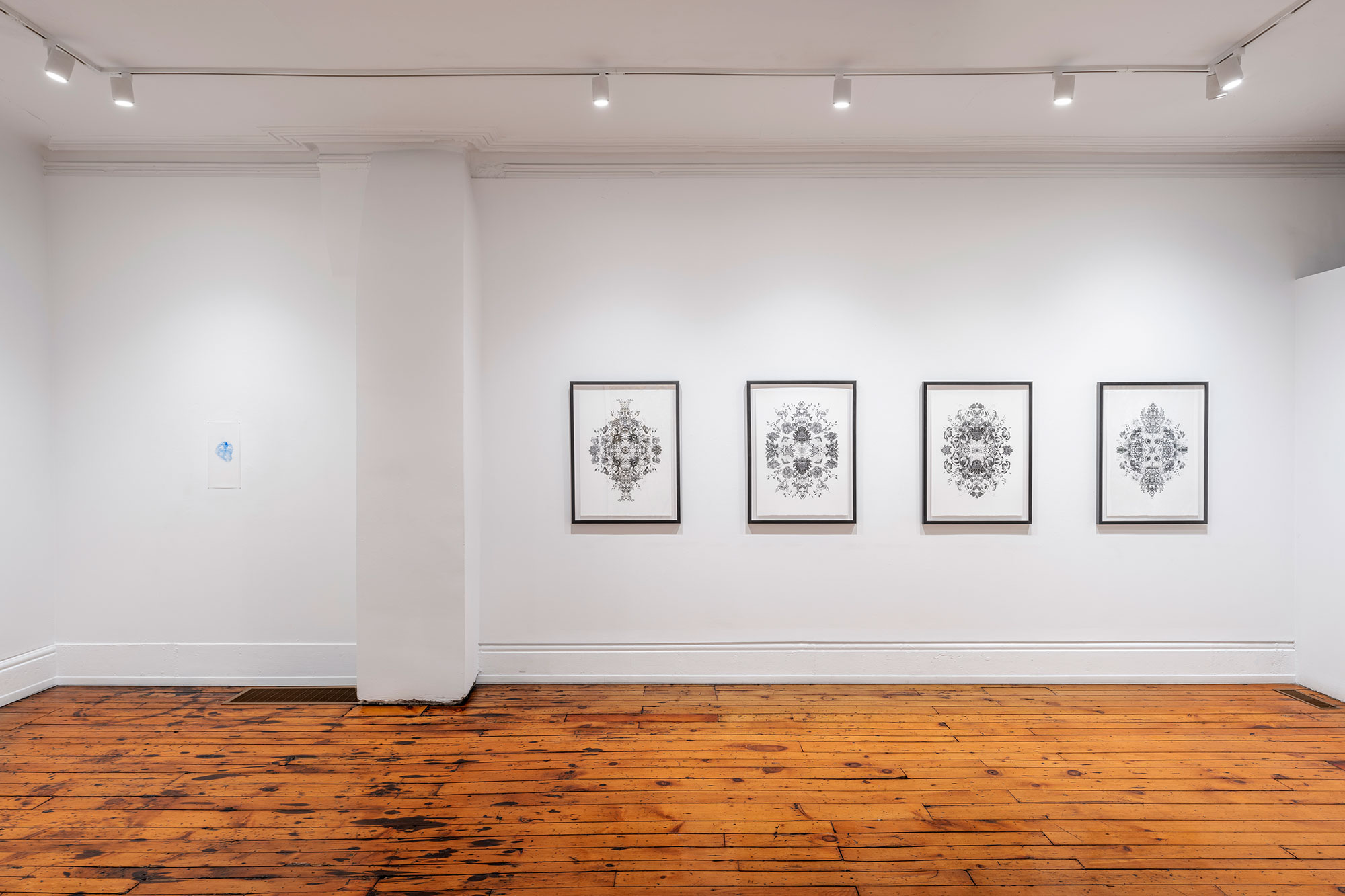 installation view