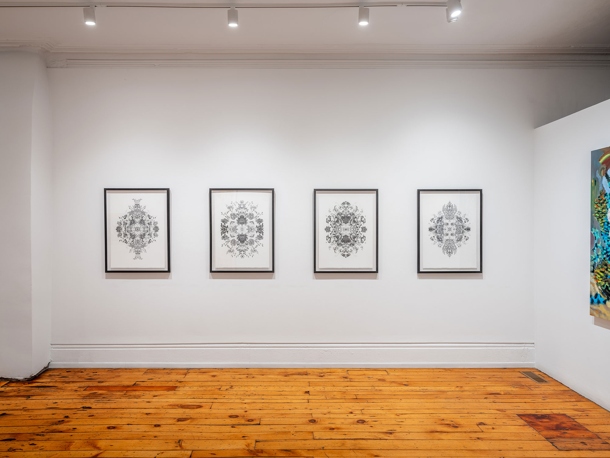 installation view