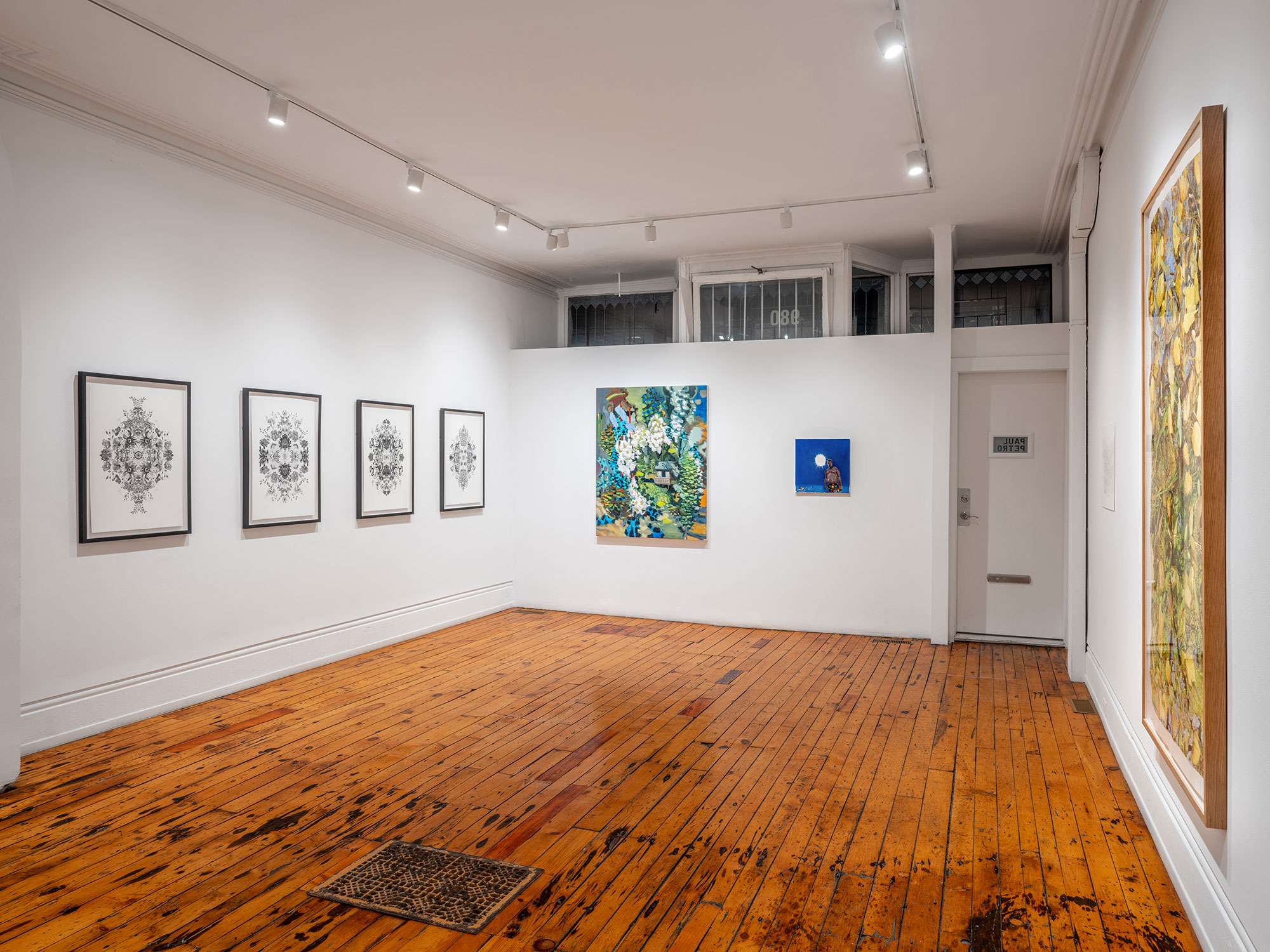 installation view