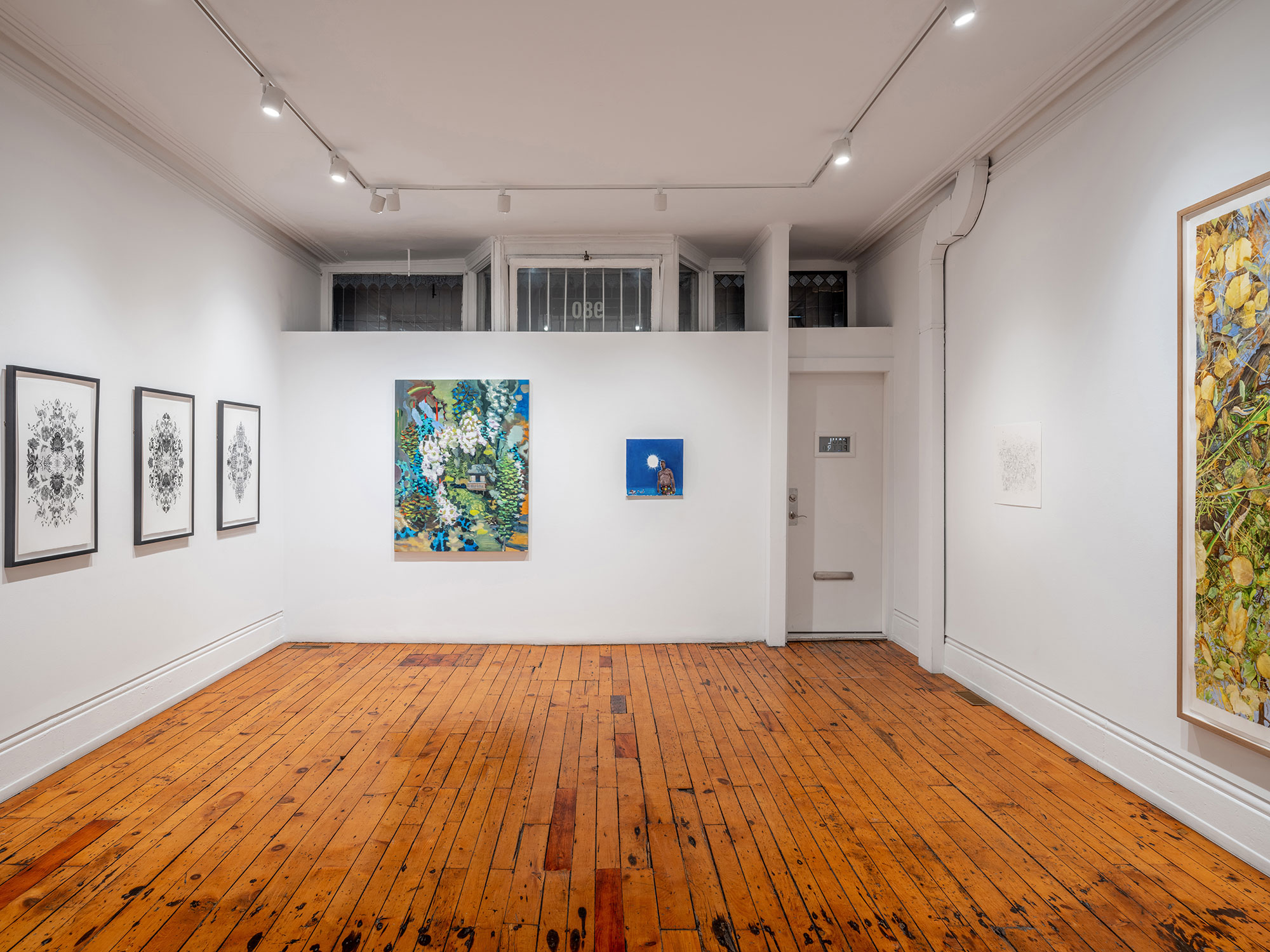 installation view