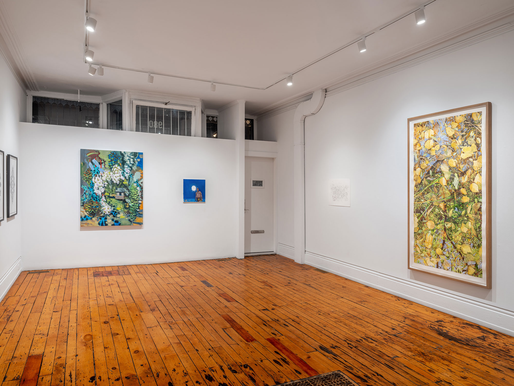 installation view