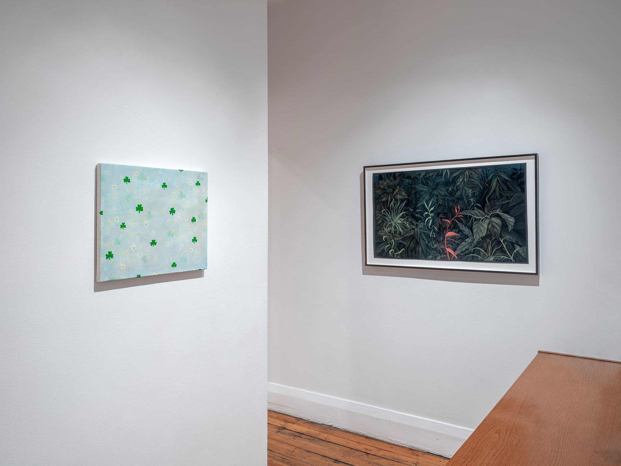 installation view