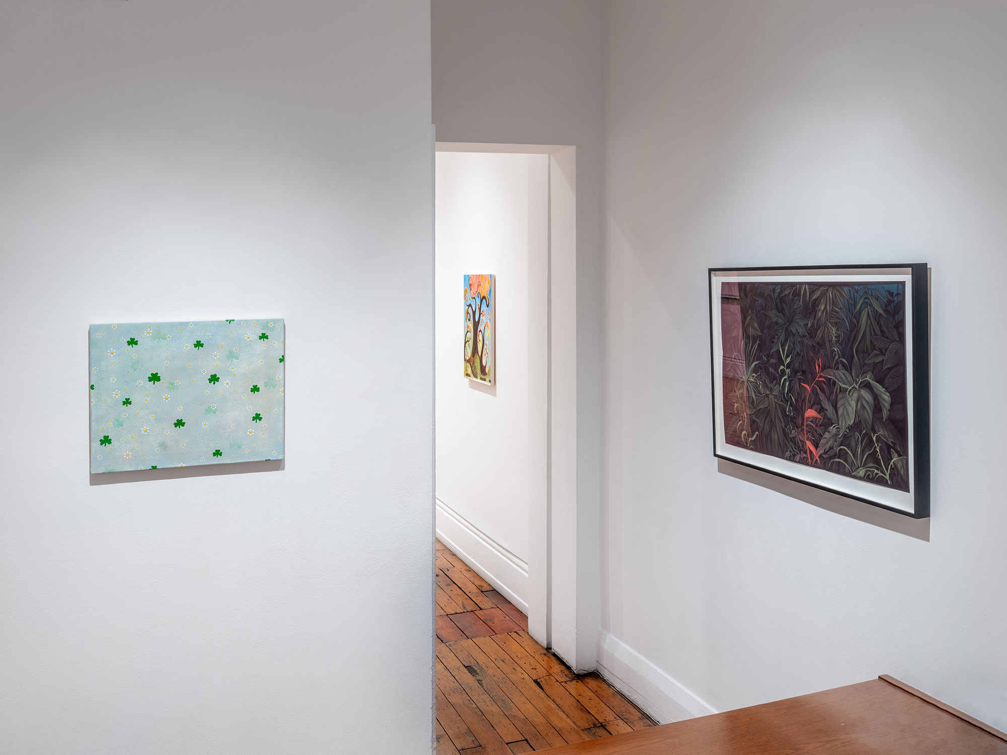 installation view