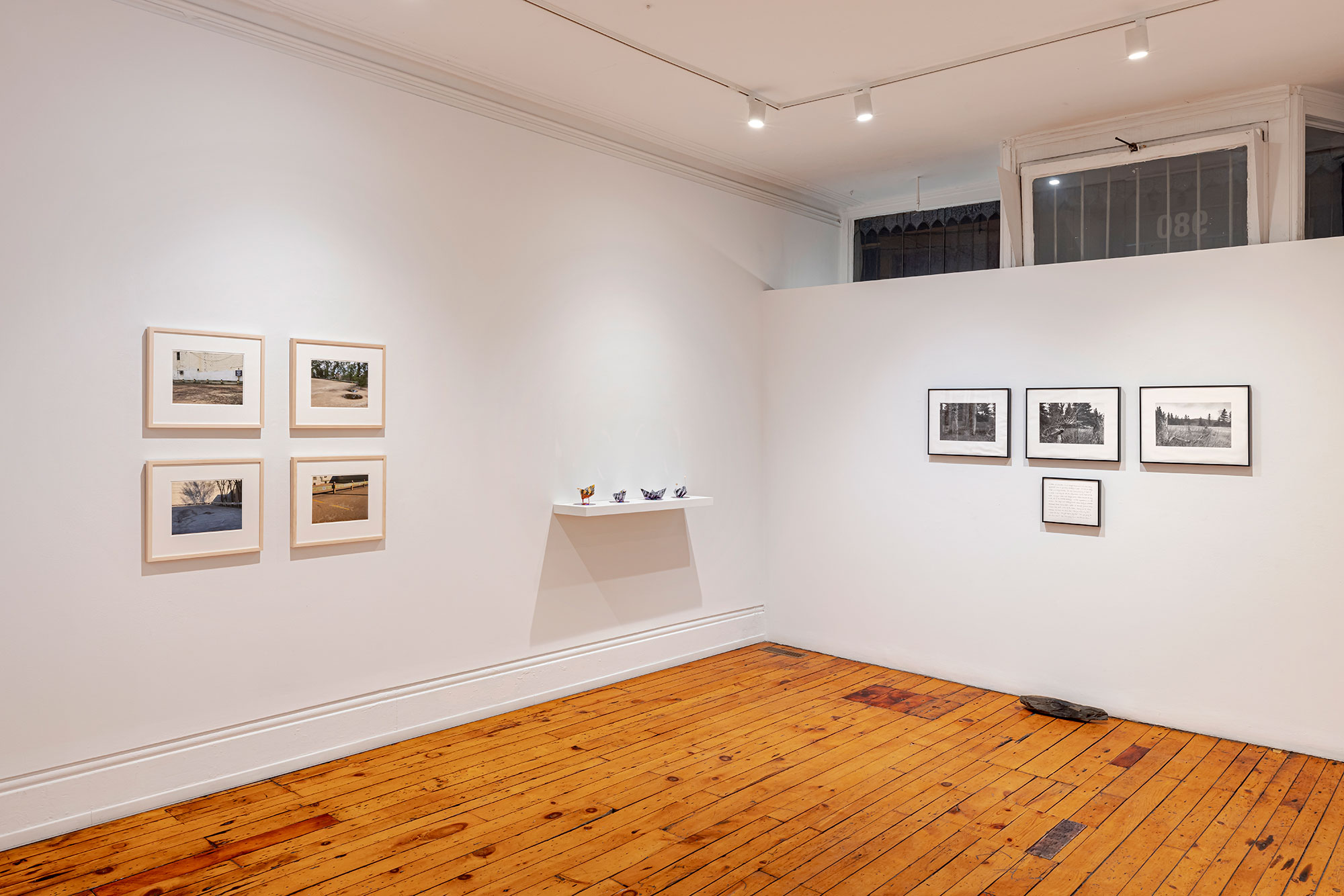 installation view