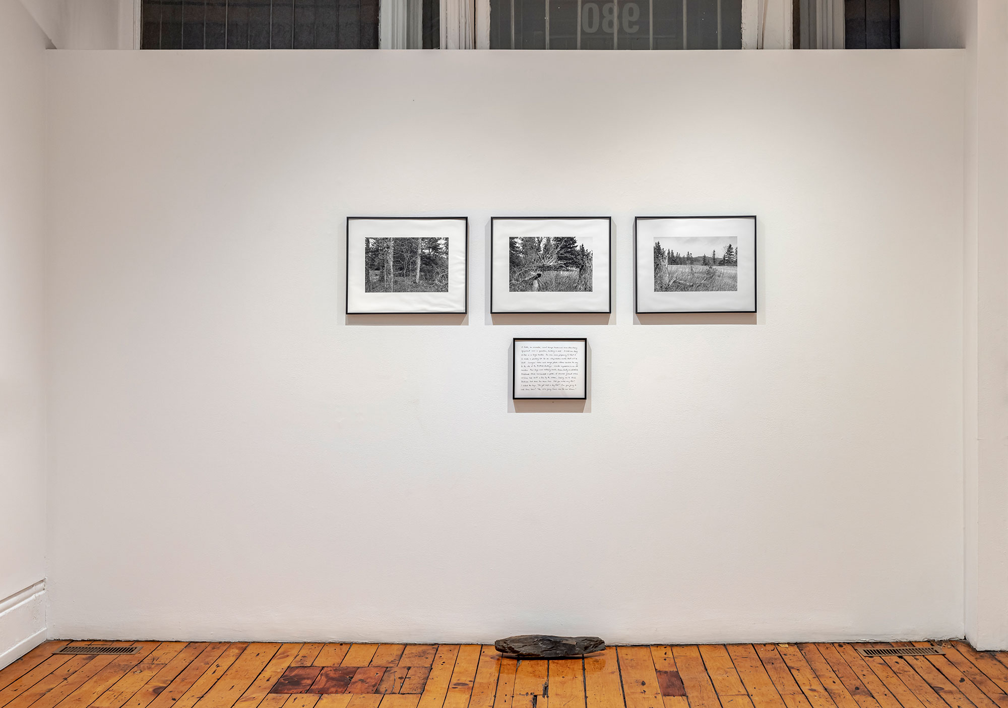 installation view