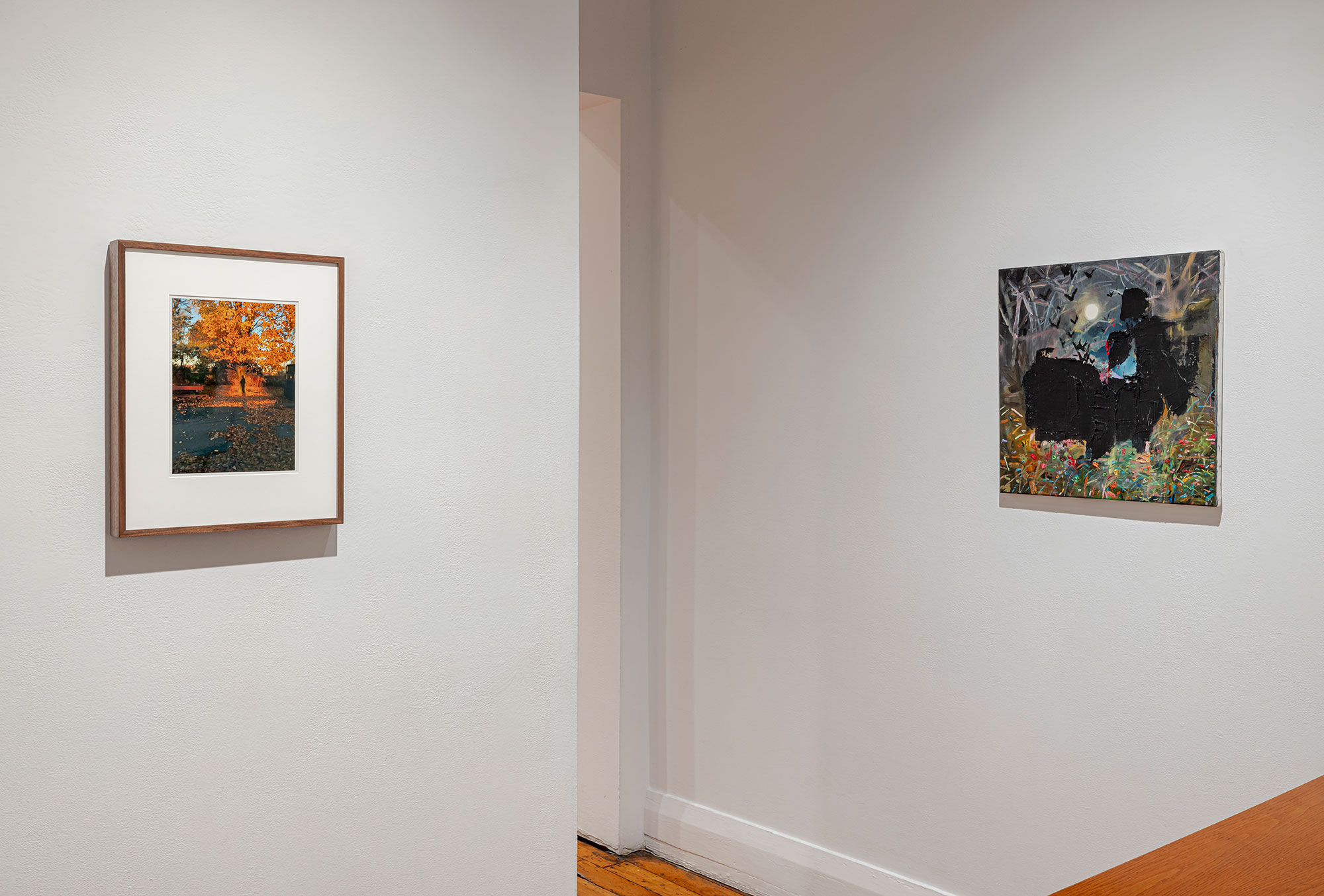 installation view