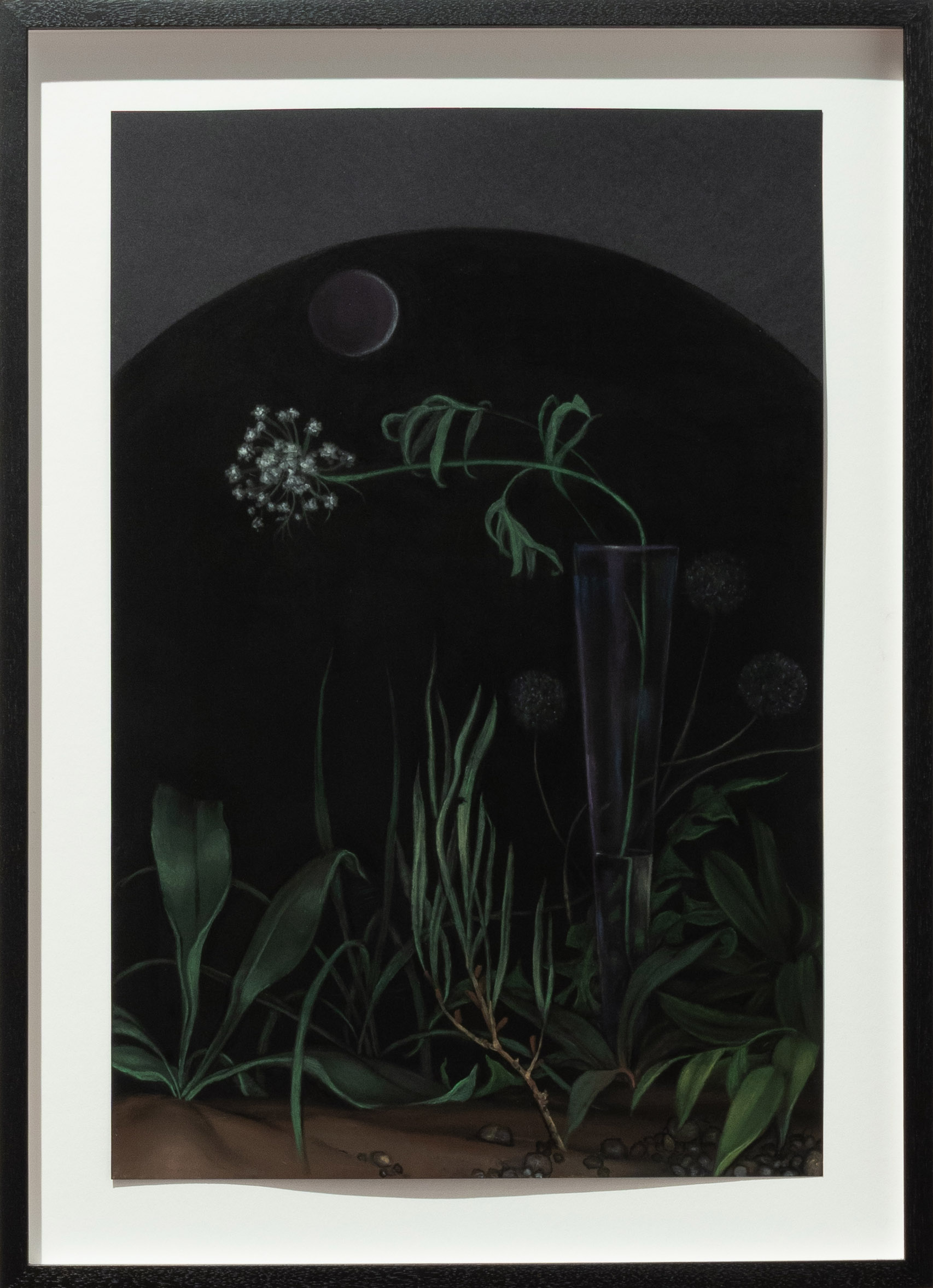 Still Life In A Ditch No. 13