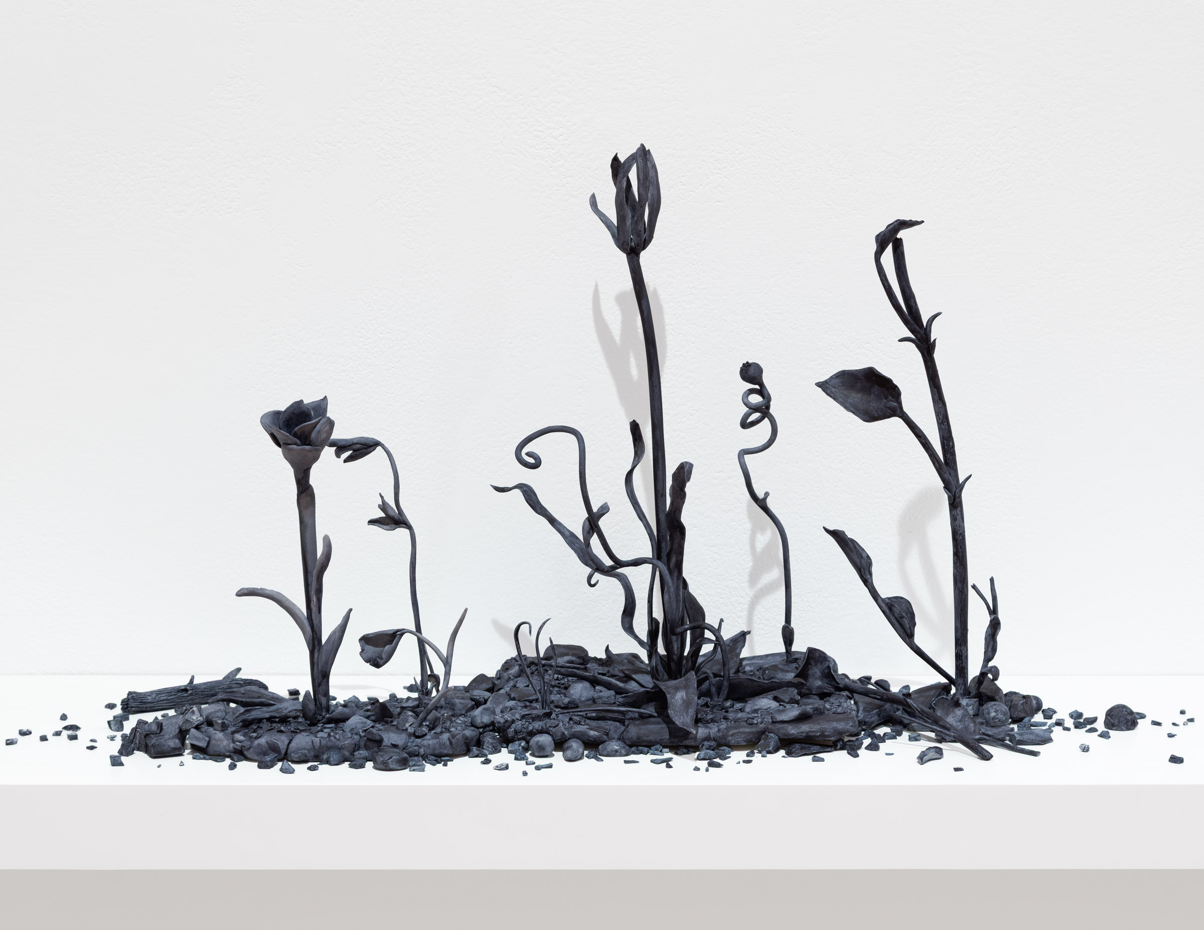 Ghost Meadows (Kinngait)