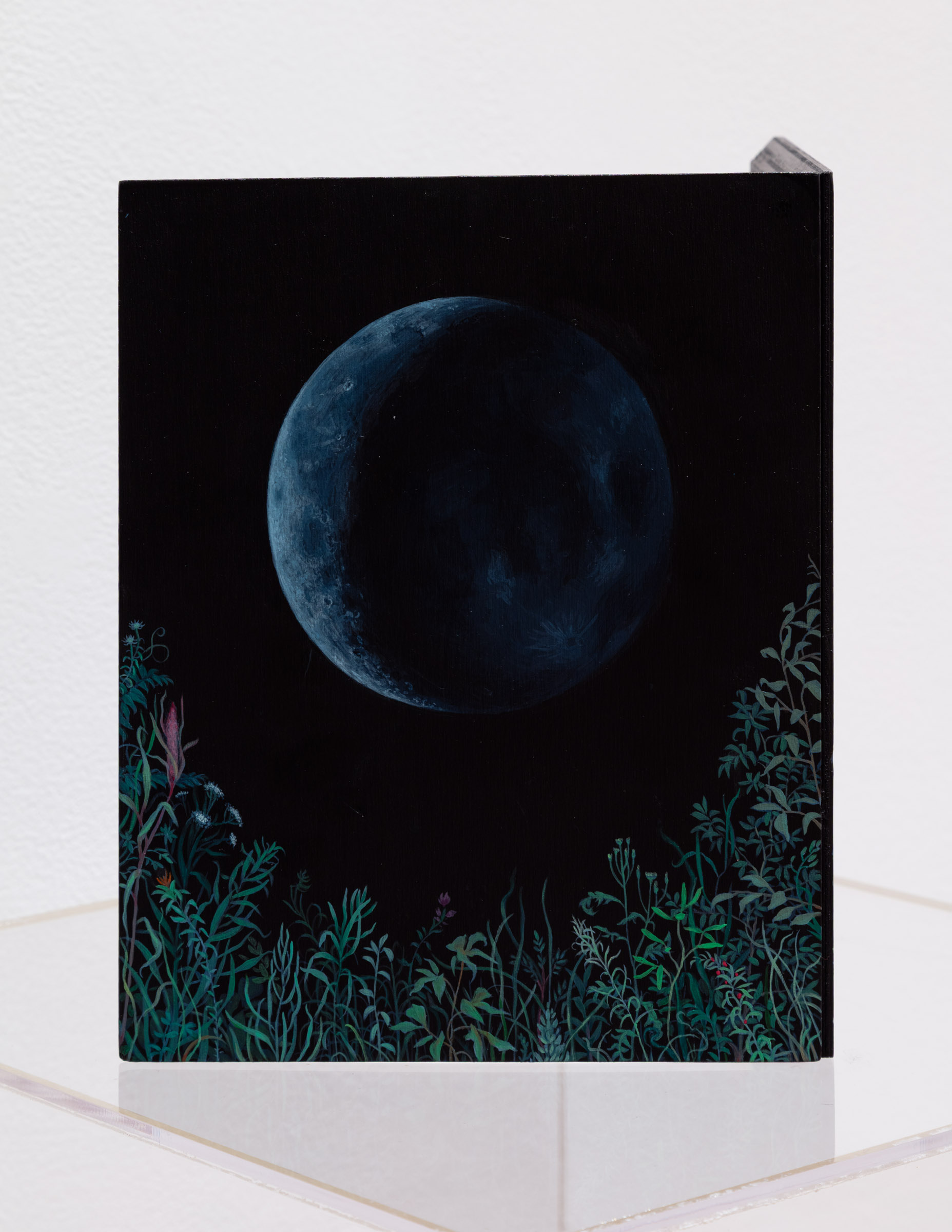 Waxing/Waning (detail)