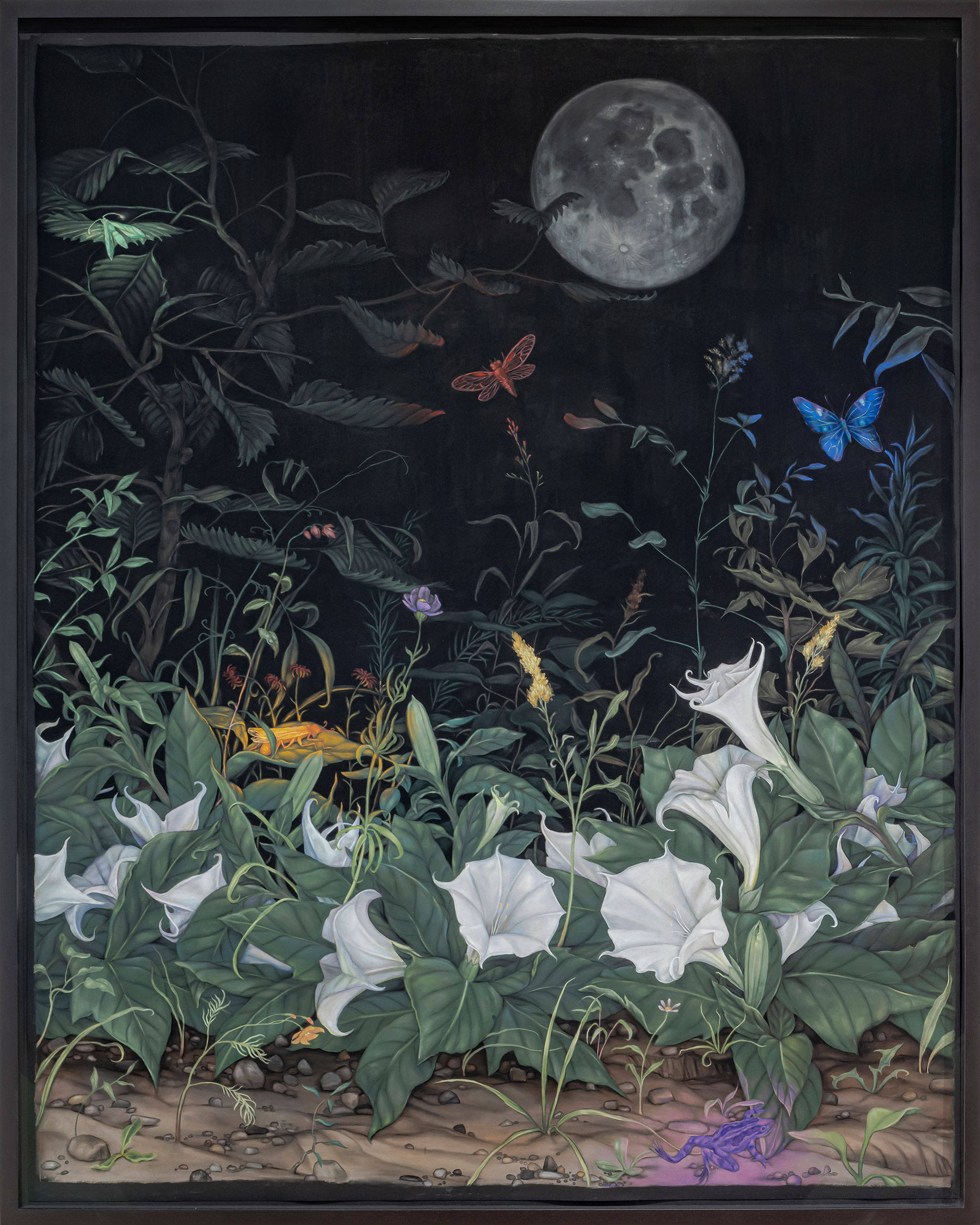 Datura and the Moon