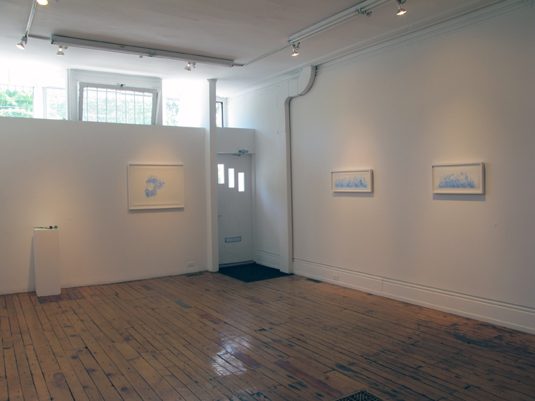 Ditches, Dandies and Lions (installation view)