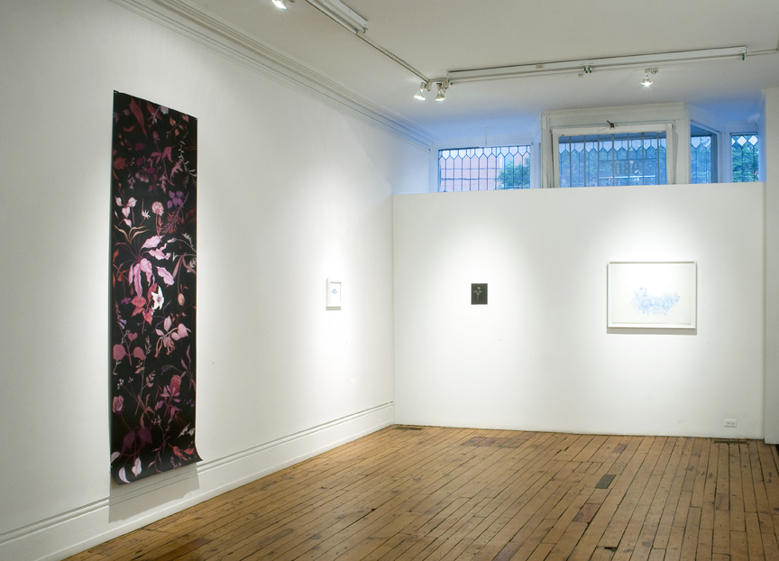 Forgotten Selves (installation view)