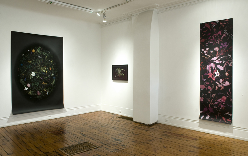 Forgotten Selves (installation view)