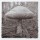 Mushroom 20